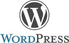 posicionamiento-web-badajoz-wordpress