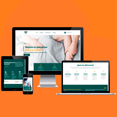 posicionamiento-web-badajoz-proyectos-fisiointegra