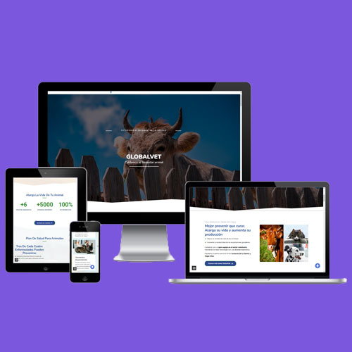 posicionamiento-web-badajoz-proyectos-globalvet