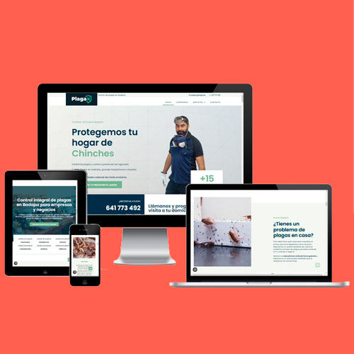 posicionamiento-web-badajoz-proyectos-plagax