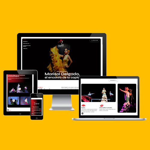 posicionamiento-web-badajoz-proyectos-marisoldelgado